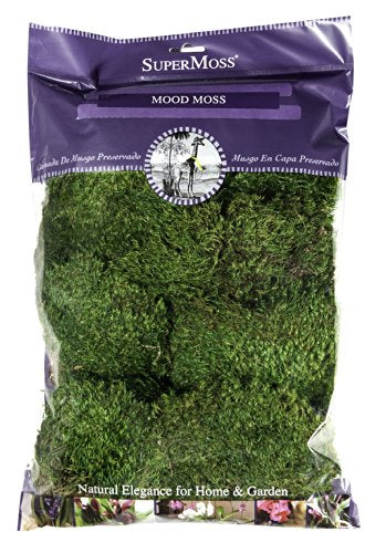 SuperMoss (21539) Mood Moss Preserved, 200 Cubic Inch Bag (Appx. 8oz), Fresh Green - color: Fresh Green, size: 8 Ounce (Pack of 1)