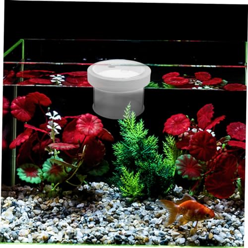 FRCOLOR Acrylic Fish Breeding Box Floating Design Fish Isolation Container for Aquariums Breeder Cups to Survival Rate