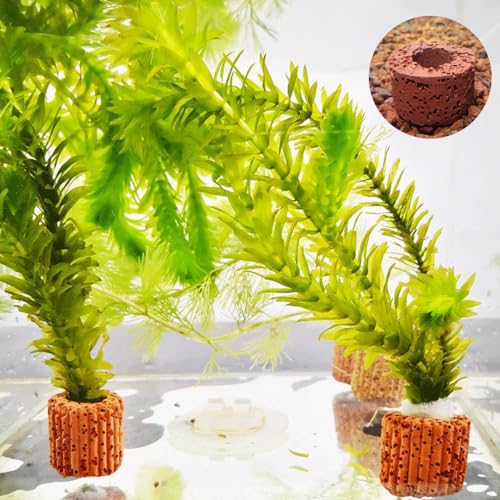6 Pcs Aquatic Water Plant Fixed Rings, Aquarium Landscape Ceramic Pottery Plant Pot Gravity Ring for Fish Tank Accessories (Medium Sized) - size: Medium