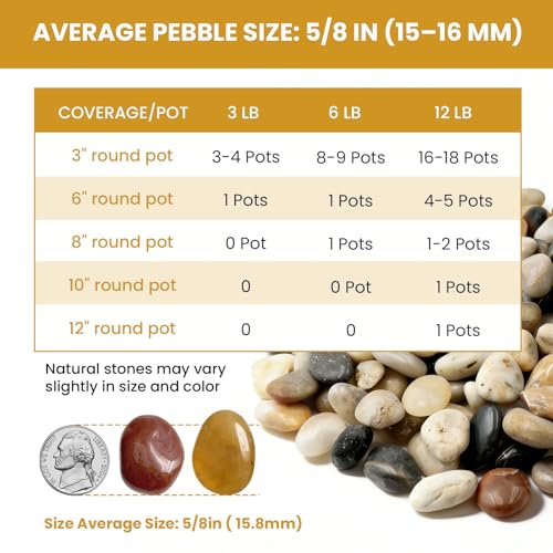 Polished Mixed River Rocks, 5/8 Inch Multi-Color Decorative Pebbles for Aquarium, Landscaping, Plant Decor & Vase Fillers,Natural Polished Mixed Stones for Garden, Crafts-12LB - size: 12lb, style: colorful