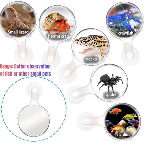 Aquarium Magnifier, Acrylic Fish Tank Viewer, Small Animal Magnifying Lens with Suction Cup, Hands-Free Underwater Viewing for Fish, Corals and Aquarium Photography