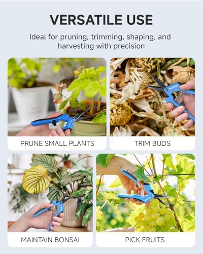 Fondwell 6.5" Garden Shears Pruning Scissors: 2 Pack of Lightweight Bud Trimming Scissors for Precision Cutting - Non-Stick Curved Blade - style: 2pcs Trimming Scissors (Curved Blades)