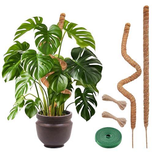 Moss Poles for Climbing Plants – Bendable Stake for Indoor Plants 28 Inch (2 Pack), Monstera Support, Moss Stick, Climbing Plant Support - size: 28" - 2 Pack