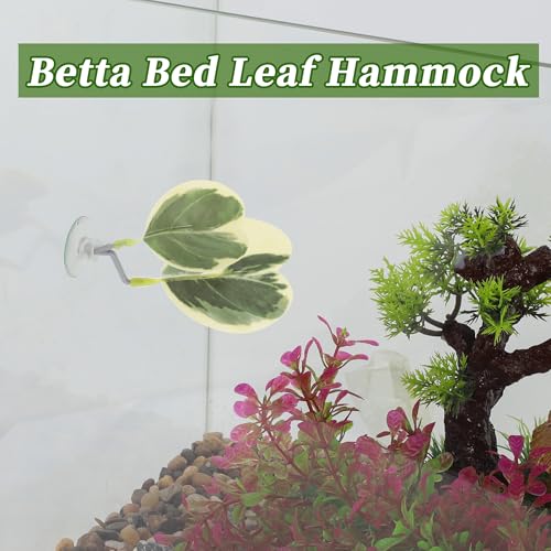 Betta Fish Bed, Betta Leaf Bed, Plastic Betta Heart-Shaped Hammock, Betta Hammock Pad with Suction Cup, Betta Fish Resting Place Betta Fish Supplies Aquarium Decor, Yellow Green - color: Yellow, Green