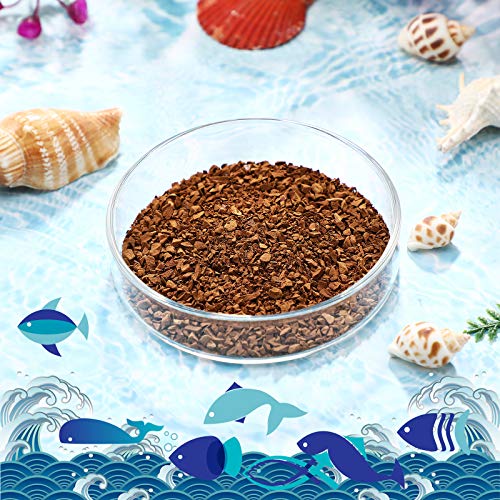 Patelai 3 Pieces Aquarium Shrimp Feeding Dish Clear Glass Fish Tank Feeding Bowl Food Bowl Freshwater Tray Feeder, 60mm, 65mm, 80mm