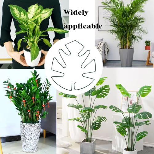 Spiritlele 5 Pcs Green Plant Stem Support Holder Set Monstera Plant Support Clamp Growth Accessories for Indoor Plants Small - color: Green, size: 5.5x5.1inch