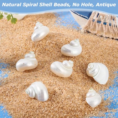 PH PandaHall 16pcs Natural Spiral Shell Beads, 0.8~1.1 Inch Mouth Turbo Seashells Undrilled Hermit Crab Shells NO Hole Shells for Home Party Wedding Decor Fish Tank Vase Filler, White