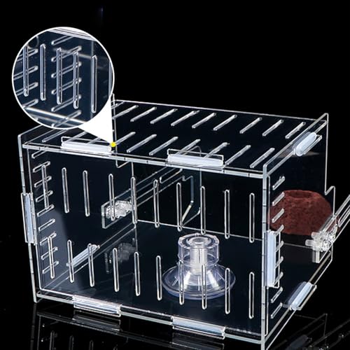 Hydroponic Plant Holder – Transparent Double-Hook Aquarium Holder, Adjustable Acrylic Aquatic Plant Planter, Durable Plants Rest, Underwater Vine Moss Decoration for Aquarium Corner - size: Double grid