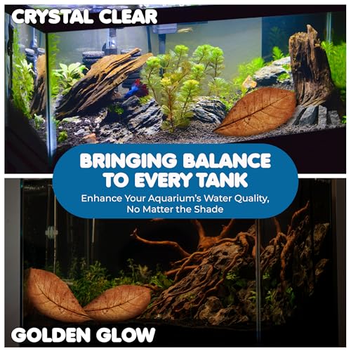 SunGrow Catappa Indian Almond Leaves, 7-8 Inches,10 Catappa Leaves for Betta Fish, Aquarium Water Conditioner, Tank Decoration, Freshwater Tank Accessories, Betta Fish Care, Aquatic Leaf Litter