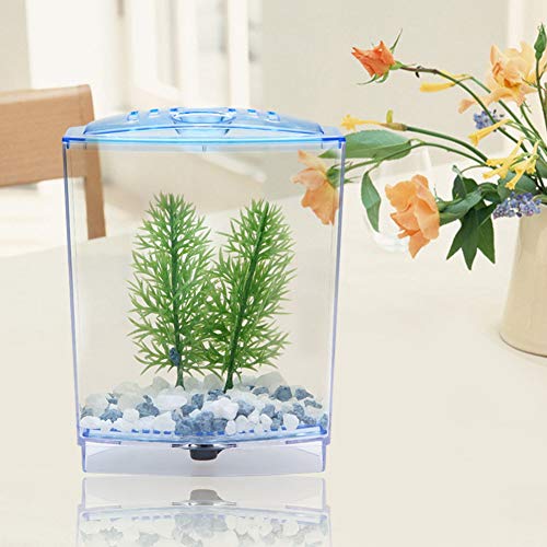 Aquarium Fish Breeding Box, Acrylic Hatchery Incubator Tank Aquarium Separator Acclimation Box Transparent for Water Plants Breeding