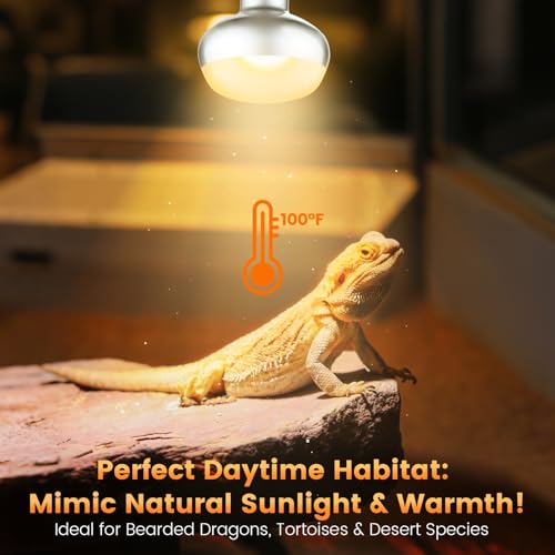 REPTITRIP Dual Reptile Lamp Fixture with 100W Daytime Heat & 100W Nighttime Infrared Heat Bulbs, 2 Independent Switches, Reptile Heat Lamp Combo Pack - No UVB - size: ST2