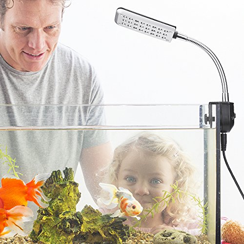 DaToo Aquarium Light Small LED Clip Light for Fish Tank, 1 Yr Warranty - size: 1.5W (Without Timer & Dimmer)