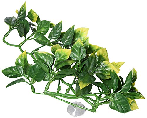 Exo Terra Plastic Terrarium Plant, Small, Amapallo - color: Multi Color, size: Small