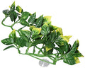 Exo Terra Plastic Terrarium Plant, Small, Amapallo - color: Multi Color, size: Small