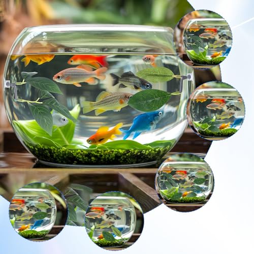 3 Pack Betta Leaf Hammock Plant Leaf Pad Betta Fish Pad Plastic Suction Cup Tank Accessories Aquarium Décor Improves Betta's Health by Simulating The Natural Habitat Spawning Grounds Breeding Bed