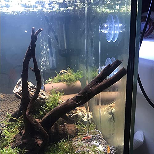 200MM Aquarium Shrimp Feeding Tube and Dish Tube Glass Fish Feeder Tube with Glass Bowl and Suction Cups for Fish Tank Aquarium Shrimp Fish Dish - size: 200MM Feeder Tube + Round Bowl