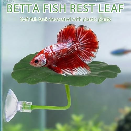 3PCS Betta Fish Leaf Hammock, Soft Aquarium Decor Plastic Plants, Betta Hammock Bed with Suction Cups, Fish Tank Decoration for Sleeping Hiding Playing – Natural Green Lotus Leaf Design