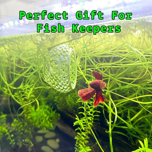 Betta Bulb Hide | Betta Rest Fish Tank Ornament | Aquarium Cave with Suction Cup for Small Fish Tank, Betta Habitat, Shrimp Hideout, Aquatic Decor (Pure White)