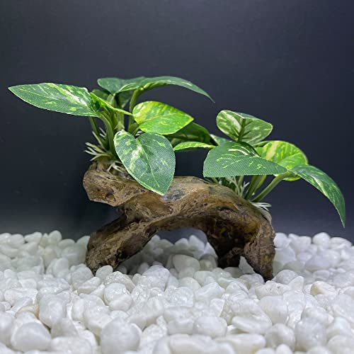 Fish Tank Decorations Aquarium Decor Ornaments Betta Silk Leaf pad Hammock Artifical Driftwood cave Goldfish Bowl Accessories (Type-C) - color: Type-c