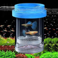 Breeder Box for Fish Tank, Plastic Aquarium Breeding Chamber, Floating Mesh Isolation Hatchery Incubator for Small Fish, Betta Shrimp Clownfish Guppy - Adjustable Nursery Tank Divider (Blue, Medium) - color: Blue