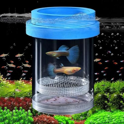 Breeder Box for Fish Tank, Plastic Aquarium Breeding Chamber, Floating Mesh Isolation Hatchery Incubator for Small Fish, Betta Shrimp Clownfish Guppy - Adjustable Nursery Tank Divider (Blue, Medium) - color: Blue