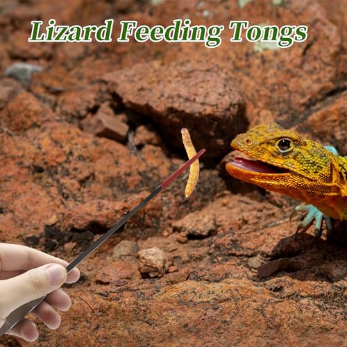 Reptile Feeding Tongs, Stainless Steel Lizard Feeding Tongs, Aquarium Straight Feeding Tweezers for Reptiles with Rubber Tip, Terrarium Feeding Tongs for Gecko, 10.63" Length, Red - color: Red, size: 10.63"