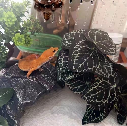 Reptile Plants for Terrarium,Amphibian Habitat Decor,Artificial Plants for Gecko Chameleon Snake Tortoise Bearded Dragon Tank Accessories with Base（Anthurium Crystallinum） - color: Anthurium Crystallinum