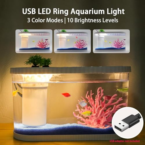 2.2Gal Aquarium Starter Kits, Small Beta Fish Tank Kit with Quiet Filter & Color Light, Nano Desktop Tank for Betta Shrimp Guppy Goldfish, Complete Starter Kit (12.6 * 7 * 5.6 Inch) - color: WHITE