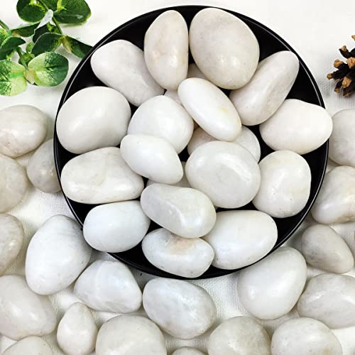 YISZM 5lbs White River Rocks, 1-2 Inch Natural Pebbles for Indoor Plants, High Polished Decorative Stones Vase Filler Fish Tank Aquariums Landscaping Garden Outdoor and Indoor DIY - color: White, size: 5 Pounds