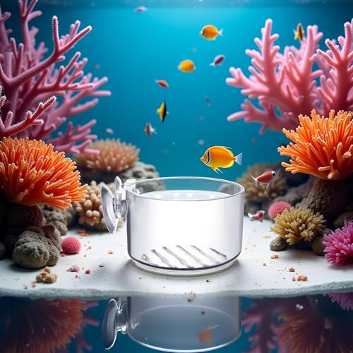 BWESOO Transparent Round Aquatic Planter Cups with Hole, Mini Acrylic Aquatic Plant Pot Holder with Suction Cup Aquarium Decor, for Aquarium Shrimp Fish Live Plants