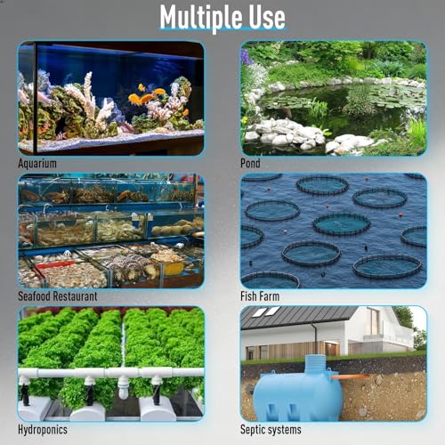 AquaMiracle Linear Air Pump ZP-40/ZP-60/ZP-100 for Pond Aeration, 635/950/1600GPH Septic Air Pump Pond Aerators for Outdoor Ponds, Waste Treatment, Aquarium, Fish Farm, Seafood Restaurant - style: 635GPH(40LPM)