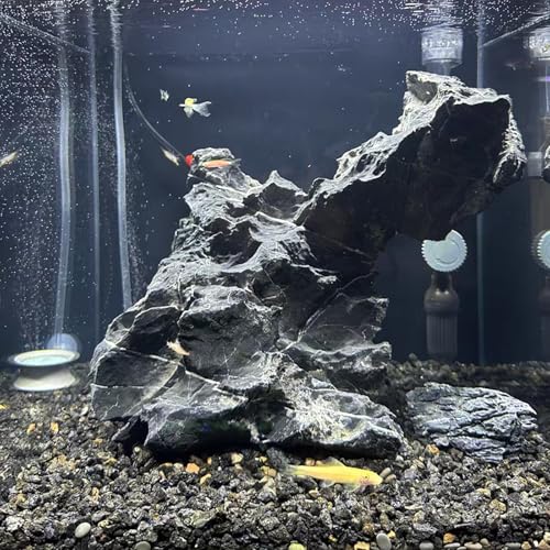 FANTIAN 2 lbs Small Black Lava Rocks for Plants,1/4 Inch Crush Volcanic Rock Pumice Soil Additive for Succulent Aquarium Cactus Bonsai Fire Pits and Garden Landscaping - color: Black Lava Rocks