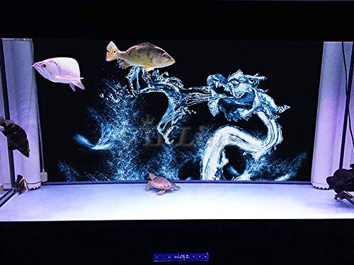 Water Dragon Aquarium Background Poster HD Fish Tank Decorations Landscape (30" x 22"/ 76 x 56cm) - size: 30" x 22"/ 76 x 56cm