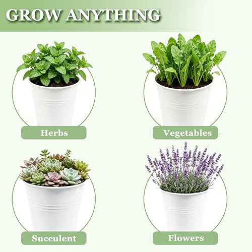 TCBWFY Indoor Herb Garden Planter Set - 3 Pack 4.7" White Metal Plant Pots with Drainage Holes & Removable Tray - Windowsill Kitchen Counter Balcony Office Garden - color: White