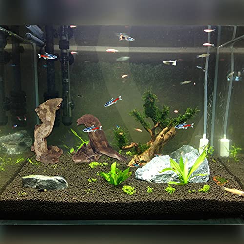 Hamiledyi Aquarium Driftwood 10 PCS Natural Wood Driftwood Branches Fish Tank Habitat Decor Sinkable Reptile Tree Log Decorations Assorted Terrarium Ornament for Aquarium Fish Reptiles Tank Small