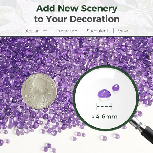 T4U Fish Tank Gravel 2 LB, Tumbled Small Rocks for Aquarium, Glass Beads for Vases, Succulent Rocks for Plants, Aquarium Gravel Decorative Pebbles for Terrarium Crafts Vase Filler, Purple - color: #14 - Purple, size: 2 LB