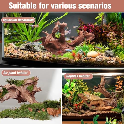 3-Piece 7-11 Inches Natural Aquarium Driftwood Decorations - Aquascape Decor for Fish Tanks, Betta Hideouts, Reptile Enclosures & Plant Attachment - size: Mopani Driftwood 7-11" (Pack of 3)