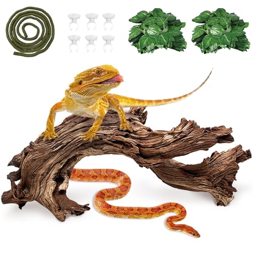 Hamiledyi Reptile Driftwood Branch Decor Terrarium Ornament Wood Climbing Natural Aquarium Driftwood Decoration for Snake Bearded Dragon Leapord Gecko Lizard Iguana