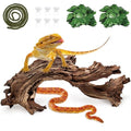 Hamiledyi Reptile Driftwood Branch Decor Terrarium Ornament Wood Climbing Natural Aquarium Driftwood Decoration for Snake Bearded Dragon Leapord Gecko Lizard Iguana