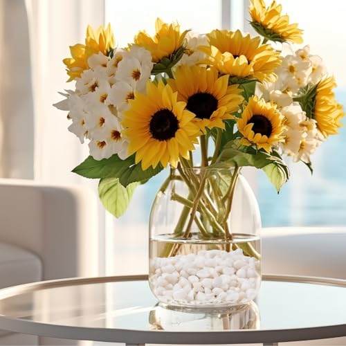 5 lbs Small White Rocks for Planters, 3/8" White Pebbles for Vases, Decorative Small Stones for Plants, Succulents, Bamboo, Terrarium, Landscape, Garden - color: White