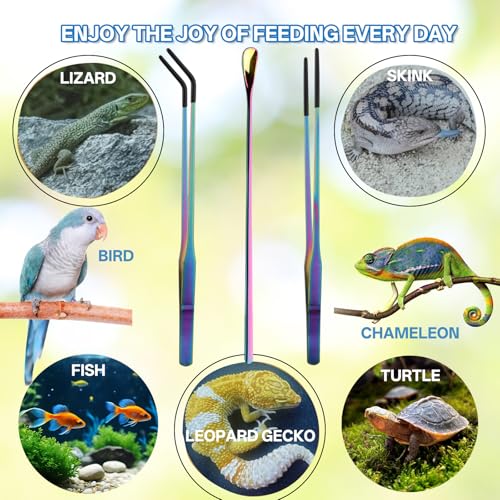 10.6" Colorful Reptile Feeding Tweezers Set with Spoon(3 Pack) | Terrarium & Aquarium Essential Feeding Tools,Appropriate Length,Stainless Steel,Straight & Curved,Soft Rubber Tips