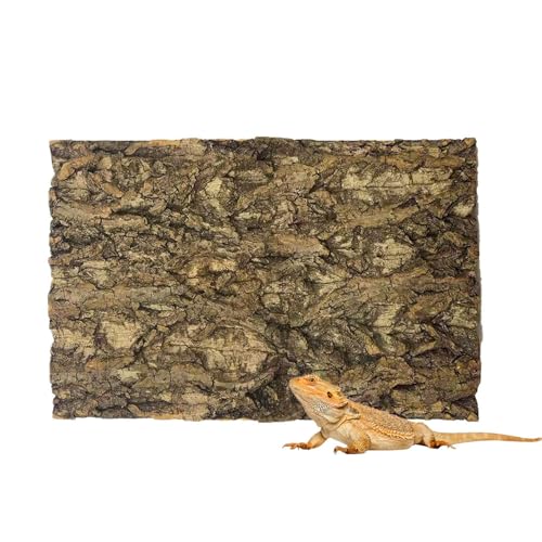 Tfwadmx 1PCS Thickened Cork Terrarium Bark Background, 11.8"x7.8" Natural Cork Bark for Reptiles Bearded Dragon Climbing Mat Reptile Climbing Wall Terrarium Background Decor for Lizard Gecko Snake - size: 1Pcs 7.87*11.81inch