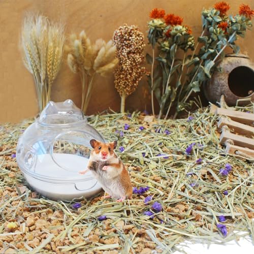 Hamster Bath Sand, 7.7lb Dust Free Desert Sand or Potty Litter Sand for Hamster Chinchillas Gerbil Syrian Mice Small Animals - color: White, size: 7.7lb