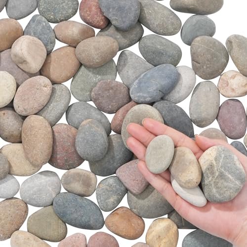 Natural River Rocks-5 lbs of Pebbles and River Stones,1-2 Inch Plant Rocks for Landscaping,Garden Paving,Crafting,Walkways,and Outdoor Decorative Stone,Mexican Beach River Rocks - color: 1-2Inch, size: 5Pounds