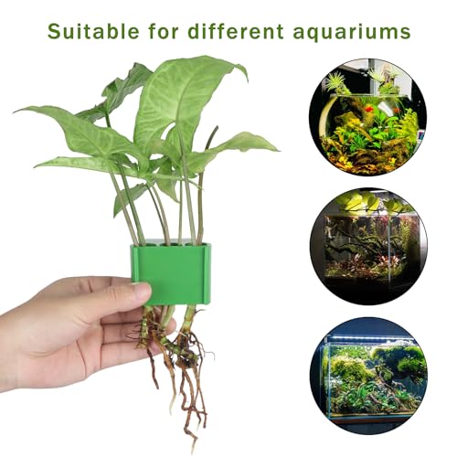 3 Holes Upgraded Aquatic Plant Cup Aquarium Plant Holder for Tank,Aquascape Accessories Decorations- Green 4 Pcs - color: Green 4 Pcs