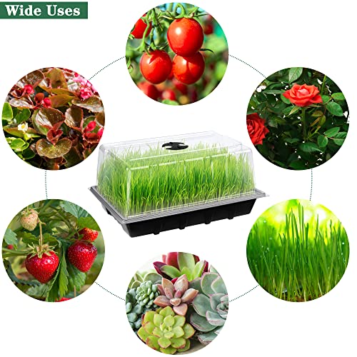 Hahood 6 Packs Seed Starter Tray Kits with Humidity Dome, Plastic Germination Growing Trays with Plants Labels, Planting Tools for Seeds Growing Starting, Germination and Seedling Propagation - color: Black
