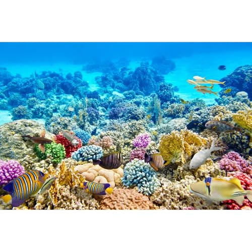 Under The Sea Aquarium Background Underwater Coral Reef Panorama Terrarium Background Various Tropical Fish Breeding Aquariums Fish Tank Backdrop Deep Sea Blue Ocean with Sunbeams Backdrop 24x12in - color: Tropical Brown, size: 24(W)x12(H)in