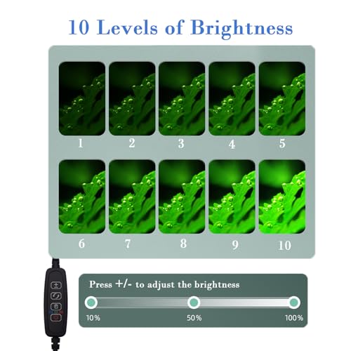 Upgraded Aquarium Light with Timer Clip On Fish Tank LED Light Small USB Light Dimmer Multi-Color White+Warm Yellow+Yellow 1 to 5 Gal (Adapter NOT Included) - size: Black-Dimmer+Timer