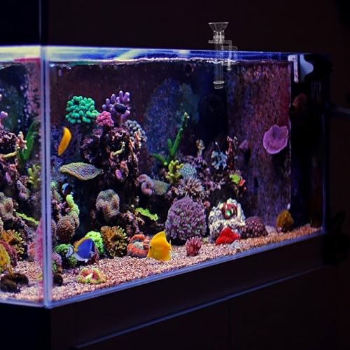 Shrimp Feeding Tube Aquarium Feeder Tube Acrylic 10cm Length Wall-Mounted Fish Tank Feeder for Aquarium Shrimp Supplies
