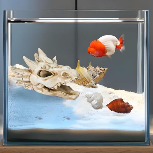 Warmtree Dragon Skull Animal Skulls Mini Skulls Dinosaur Skull Aquarium Resin Skull Dinosaur Head for Reptiles Hideouts Decoration, Statue Fish Aquarium Cave Landscape Terrarium